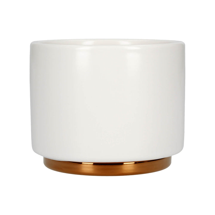 Fellow Monty Cup Collection – Espresso, Cortado, Cappuccino & Latte