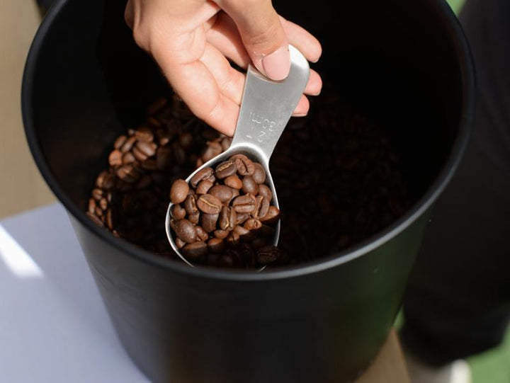 Airscape Coffee Canister – 1000g Storage for Maximum Freshness - Barista Delight