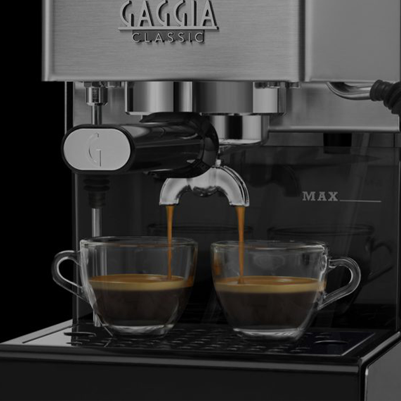 Gaggia New Classic EVO Pro E24 – Professional Espresso Machine for Home Baristas