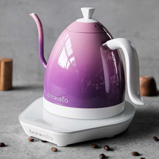 Brewista Artisan Electric Kettle – 1000ml Precision Pour-Over Kettle