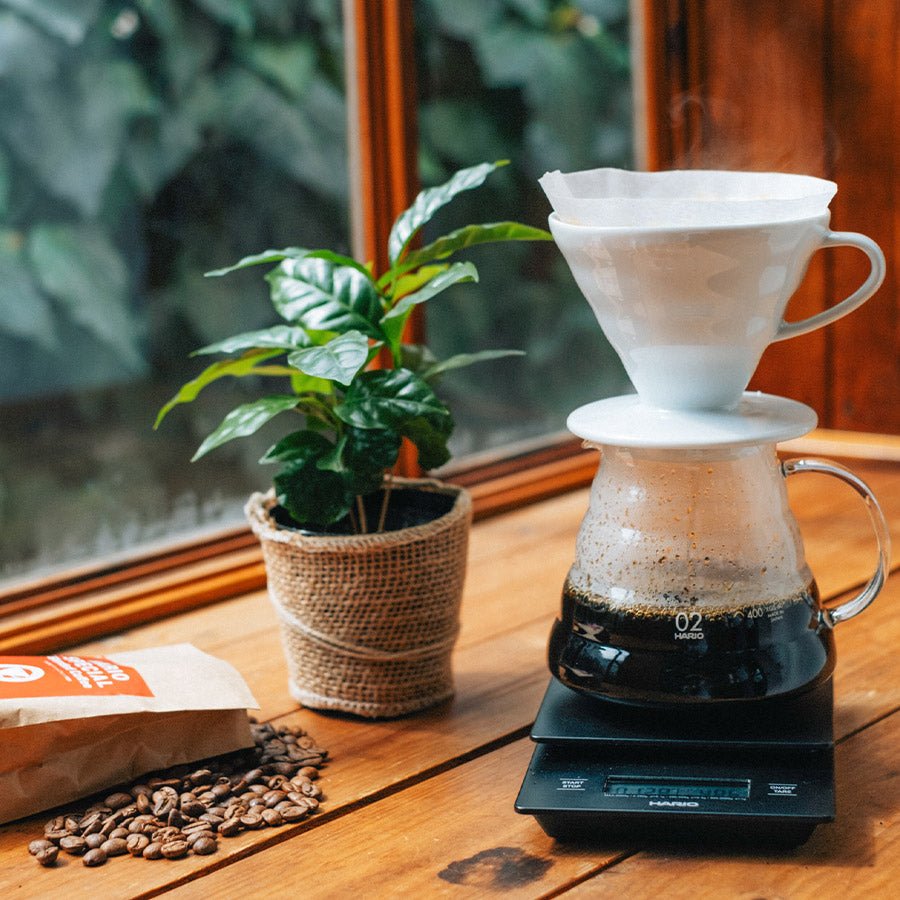 Hario V60 - 02 Ceramic (Red & White) - Barista Delight