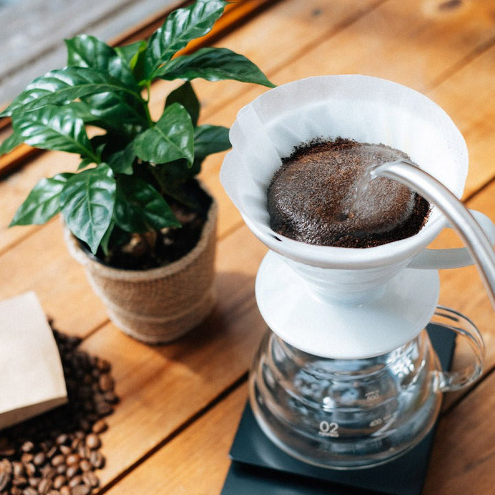 Hario V60 - 02 Ceramic (Red & White) - Barista Delight