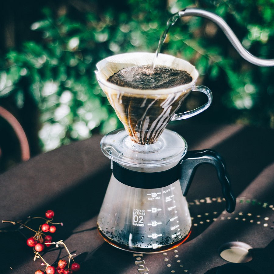 Hario V60 - 02 Plastic Dripper - Barista Delight