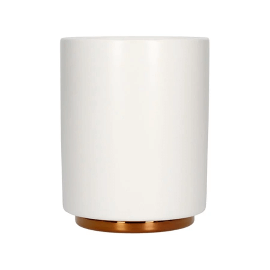 Fellow Monty Cup Collection – Espresso, Cortado, Cappuccino & Latte - Barista Delight