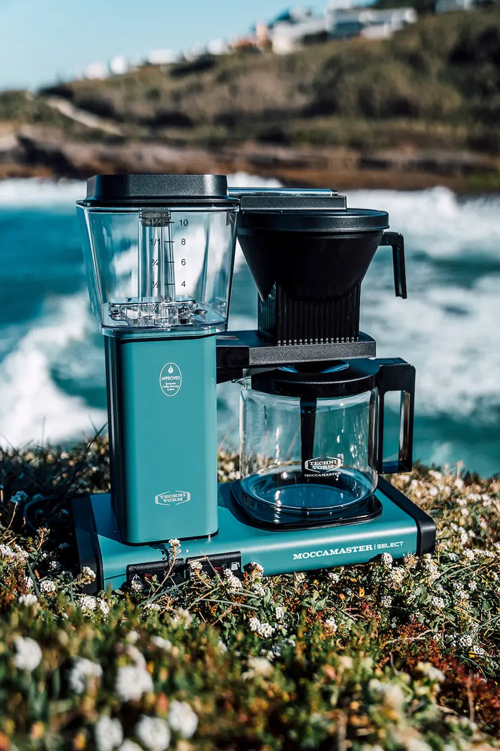 Ocean1_optimized.webp