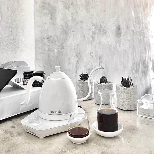 Brewista Artisan Electric Kettle – 1000ml Precision Pour-Over Kettle