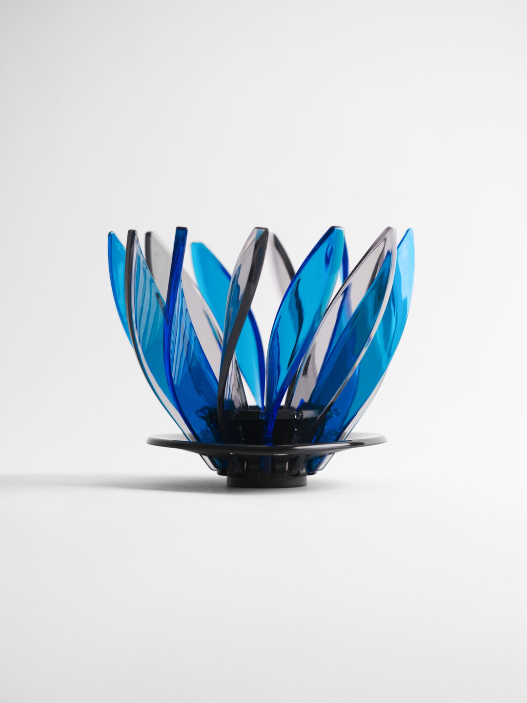 Hario Suiren Rib 6-Piece Set – Elegant Transparent Glassware