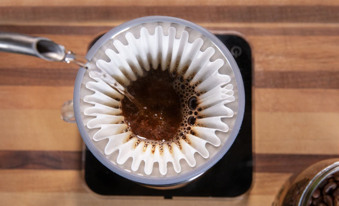 Espro Bloom Pour Over Coffee Dripper