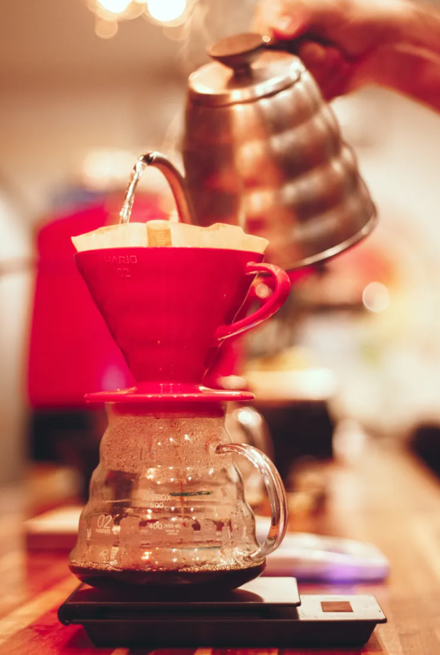 Hario V60-02 Plastic Dripper