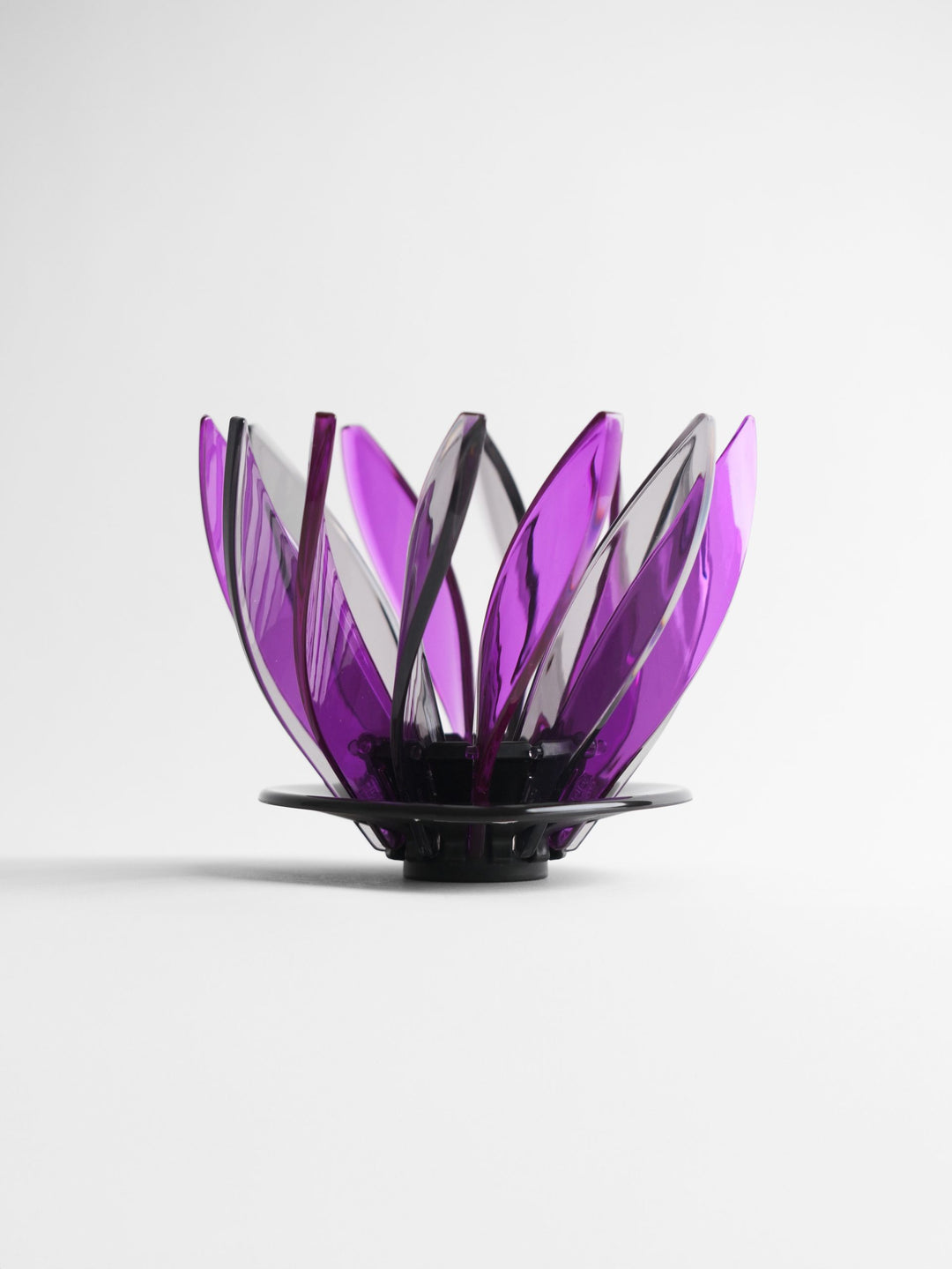 Hario Suiren Rib 6-Piece Set – Elegant Transparent Glassware