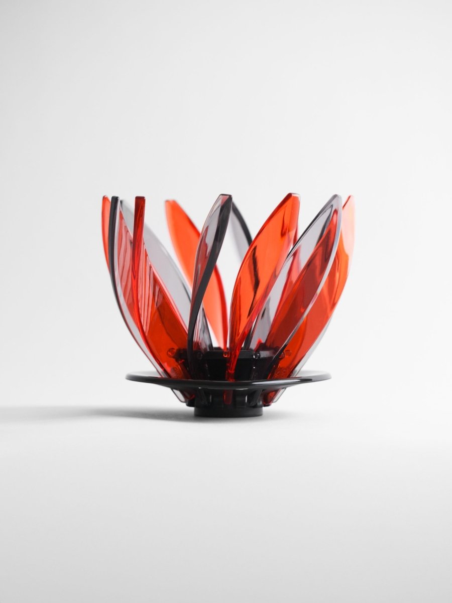 Hario Suiren Rib 6 - Piece Set – Elegant Transparent Glassware - Barista Delight