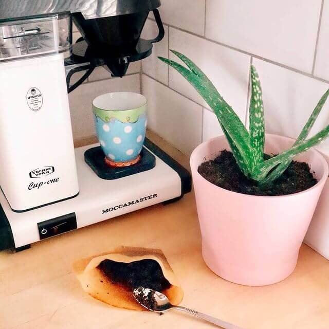 Moccamaster Technivorm Cup-One – Precision Single-Serve Coffee Maker
