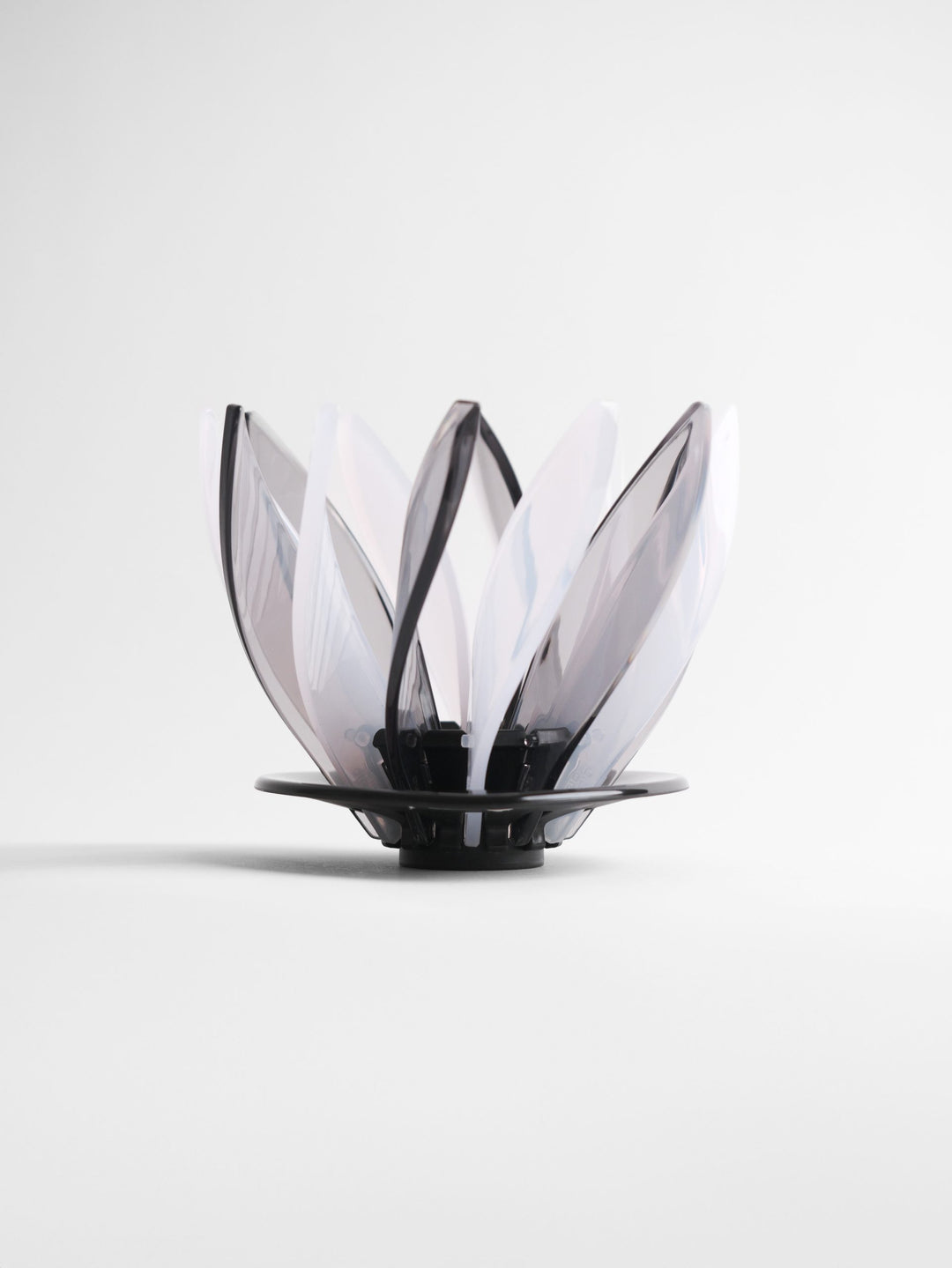 Hario Suiren Rib 6-Piece Set – Elegant Transparent Glassware