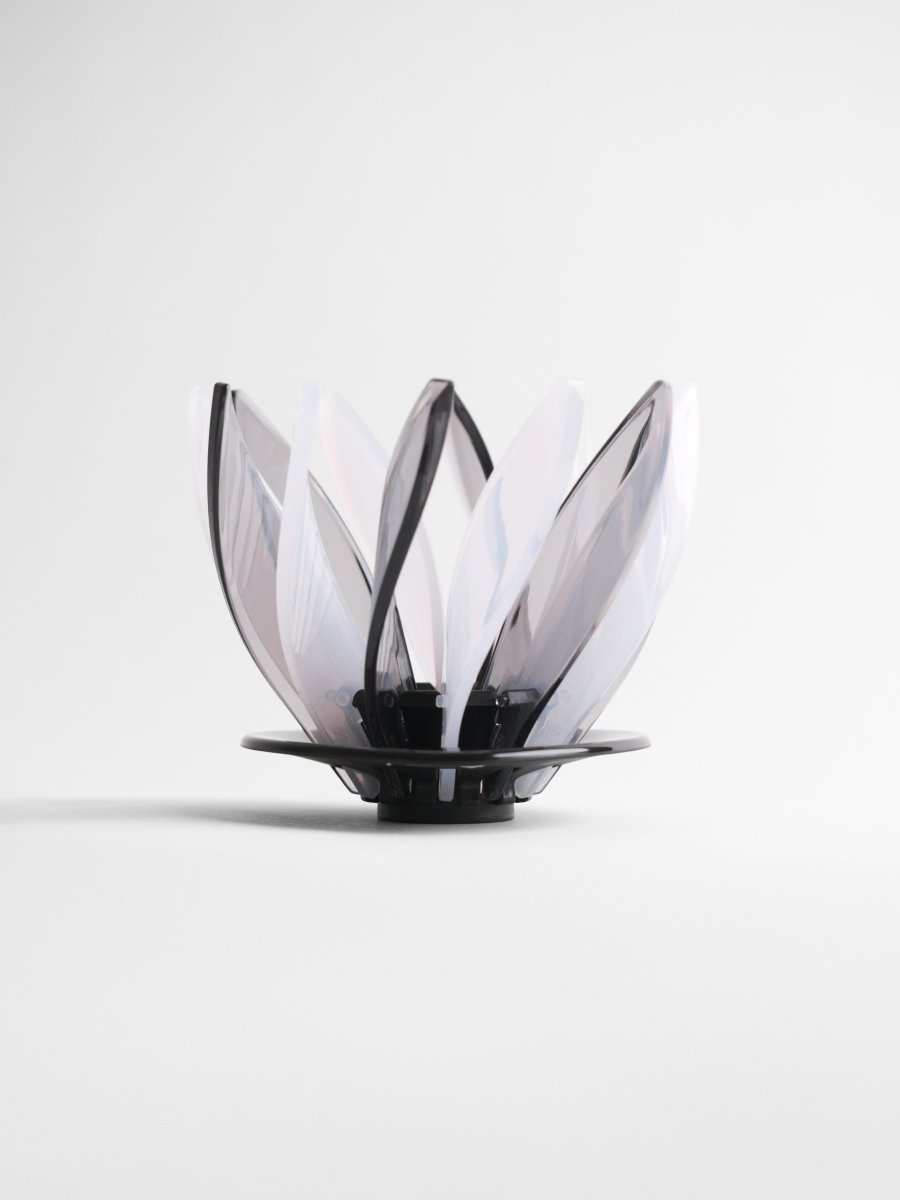 Hario Suiren Rib 6 - Piece Set – Elegant Transparent Glassware - Barista Delight