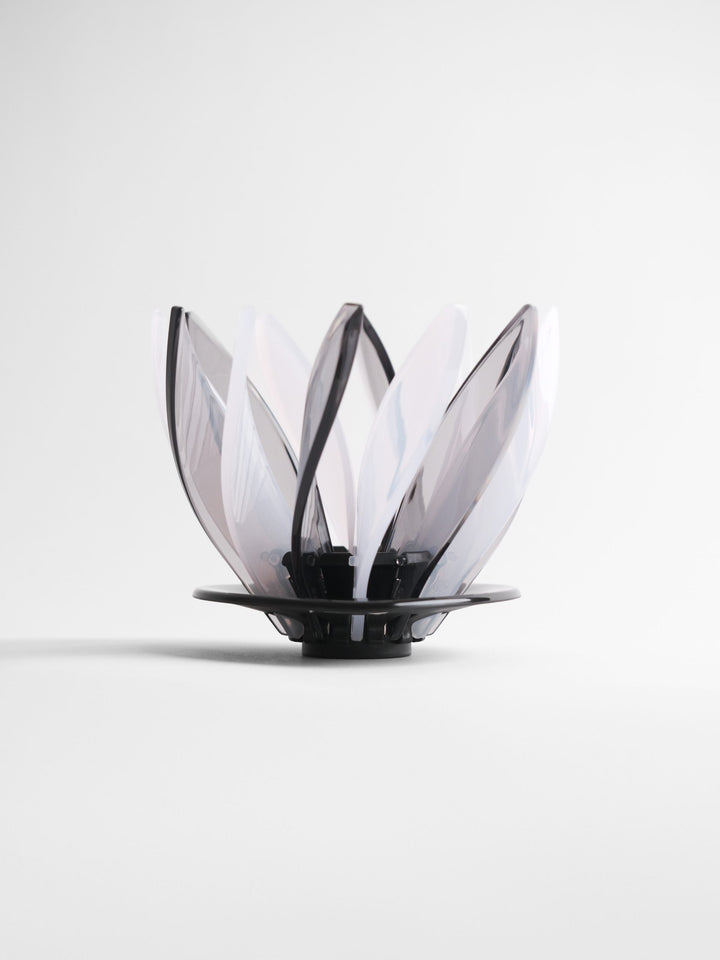 Hario Suiren Rib 6-Piece Set – Elegant Transparent Glassware