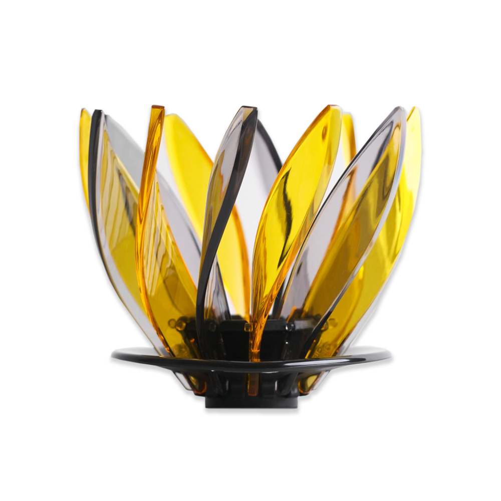 Hario Suiren Rib 6 - Piece Set – Elegant Transparent Glassware - Barista Delight